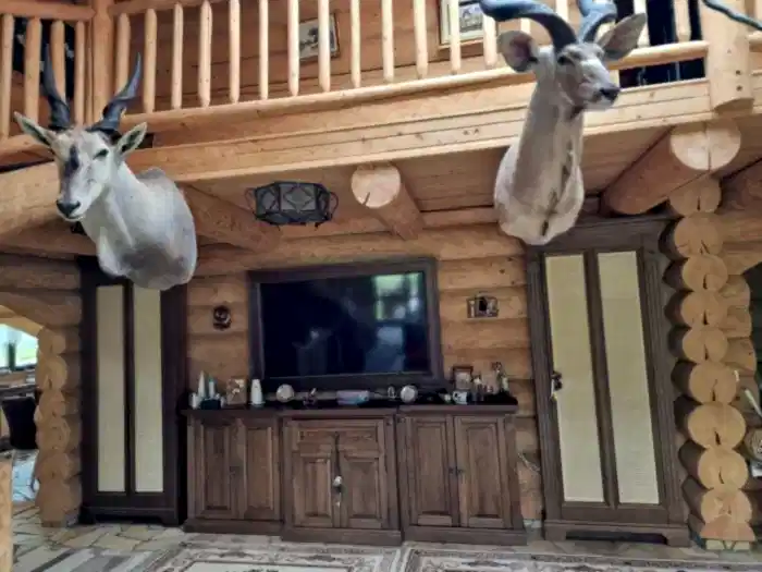 Kütük Ev 2108 - Görsel 8